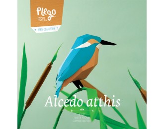 Plego oiseau- Alcedo...
