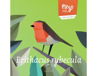 Plego oiseau-Erithacus...