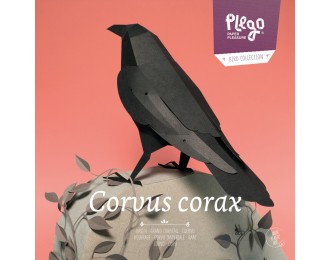 Plego oiseau-Corvus...