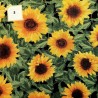 tissus en coton pour patchwork et couture collection - fleurs jaunes - : Tissus au mètre:N° 3 PAR 50CM