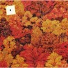 tissus en coton pour patchwork et couture collection motif - automne - : Tissus au mètre:N° 8 PAR 50CM