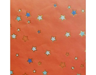 feuilles 30x40 cm étoiles...