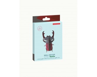 Stag Beetle studio roof