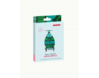 Weevil beetle studio roof