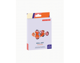 clowngfish studio roof